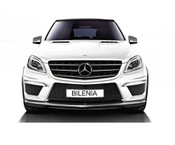Sälja bilen med BILENIA